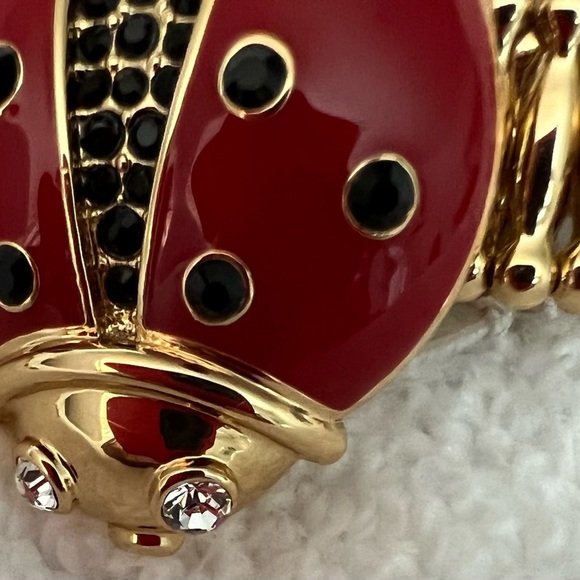 Boutique item not outlet
NWT’s Katespade complete ladybug jewelry collection - Picture 8 of 11